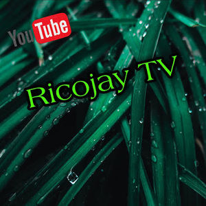 Meet your Posher, Rico